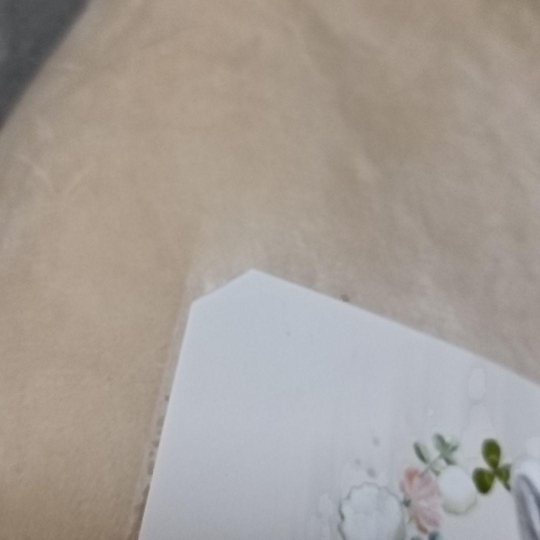 フェリシモ　しらとあきこさん　ヒマラヤン＆ネザーランドドワーフ　クッション