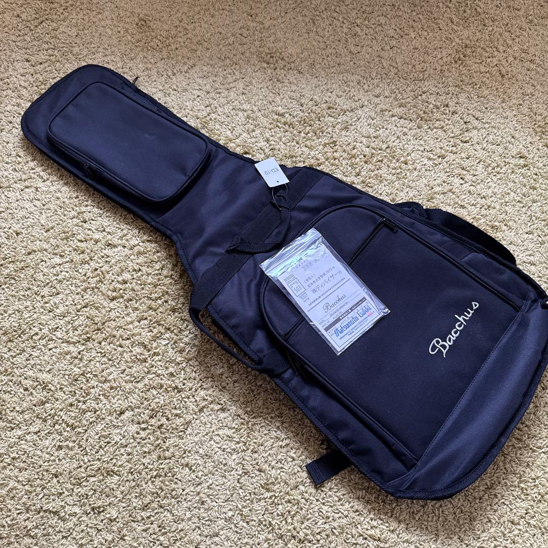 ギター Bacchus BTE-ASH25 WRS/M NA