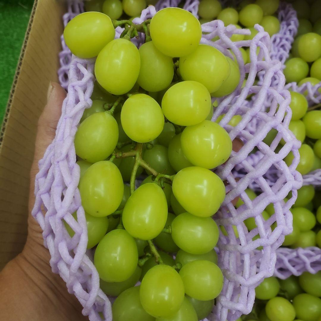 4️⃣ 山梨県産 シャインマスカット １３房 箱込み5.4キロ