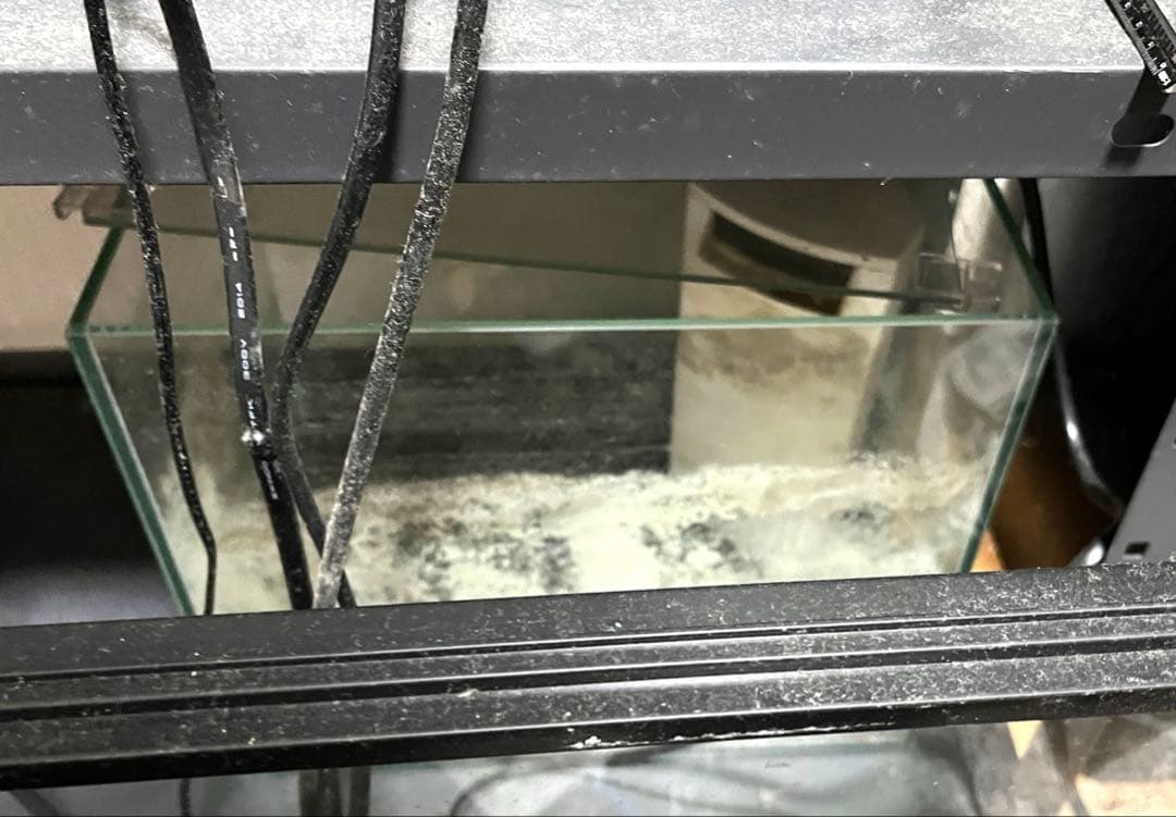 水槽 格安 ※引取限定※ 他掃除用具、濾過器写真同等一機