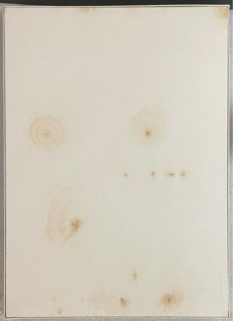 ジグソーパズル 天野喜孝 騎神来りぬ 2000ピース 中古 ピース検品済み