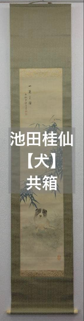 池田桂仙【犬】絹本　掛軸　共箱（模写／円山応挙）