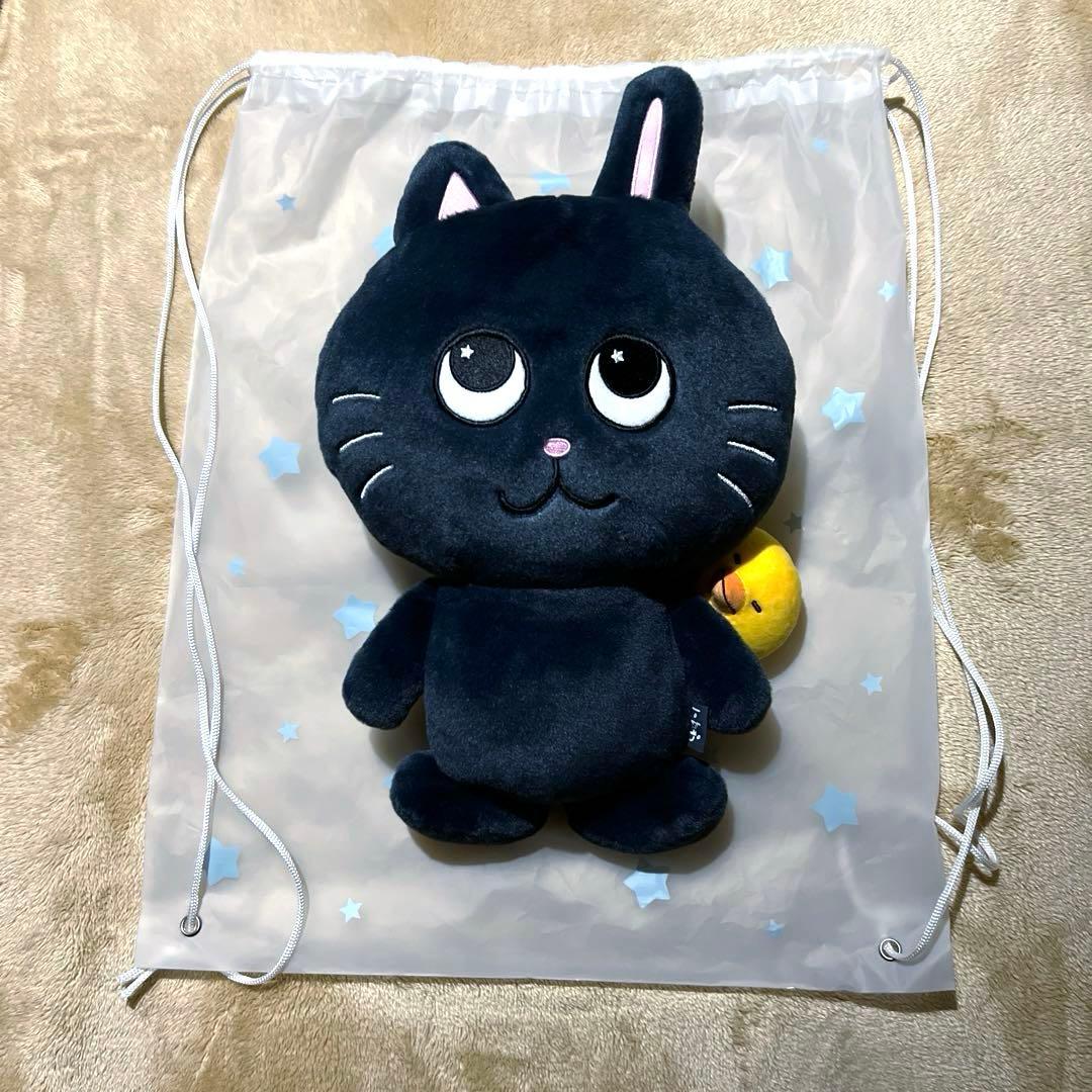 【匿名配送】riize riizing day 40cm ドール ぬいぐるみ