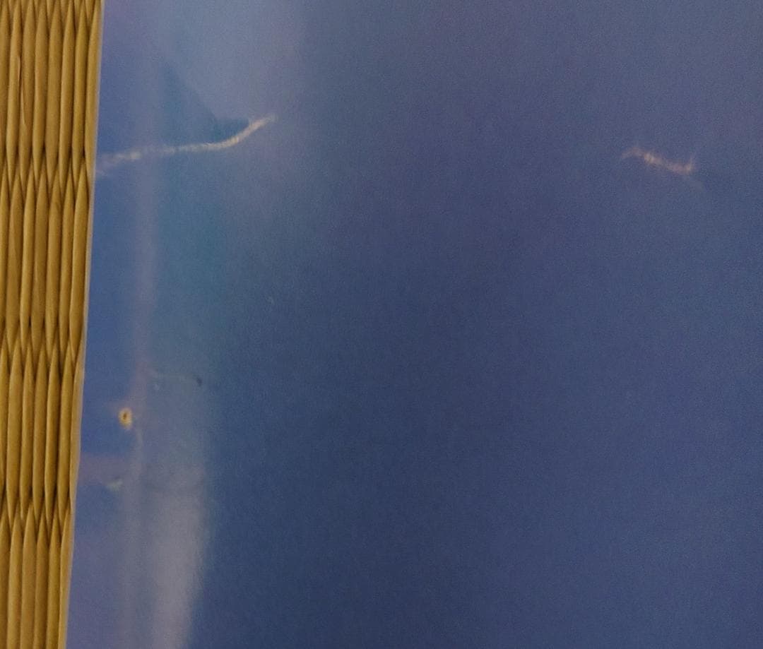 【超稀少】きまぐれオレンジ☆ロード　鮎川まどか　A1サイズ　水着ポスター