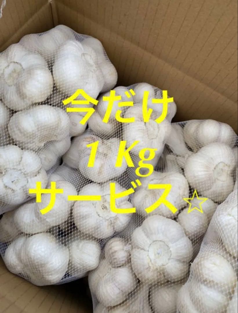 新物　青森県にんにく6キロ　Ｌ