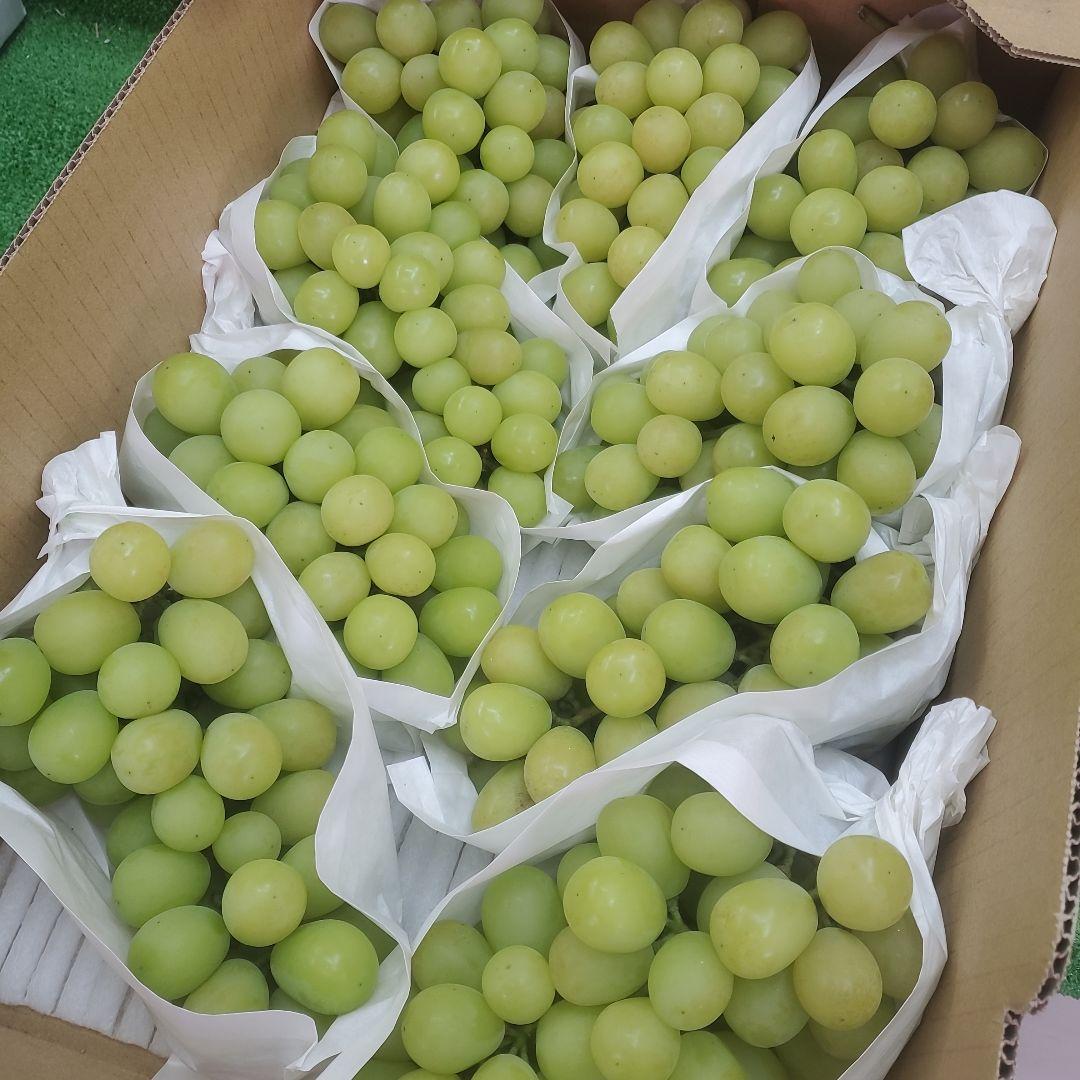 1⃣ 山梨県産 シャインマスカット ９房入り 箱込み5.6キロ