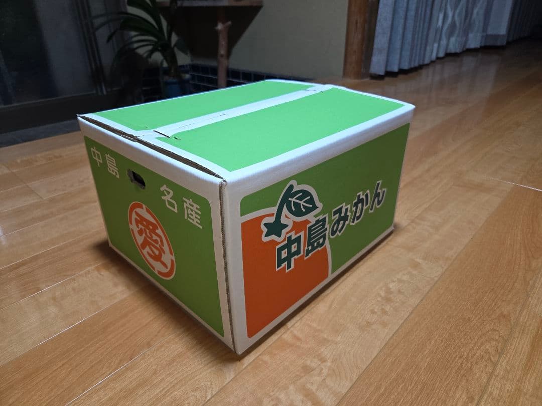 甘平10キロ　愛媛　中島産