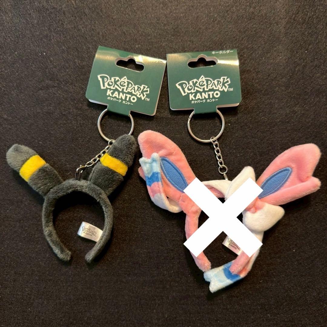 ポケパーク　ブラッキー　セット