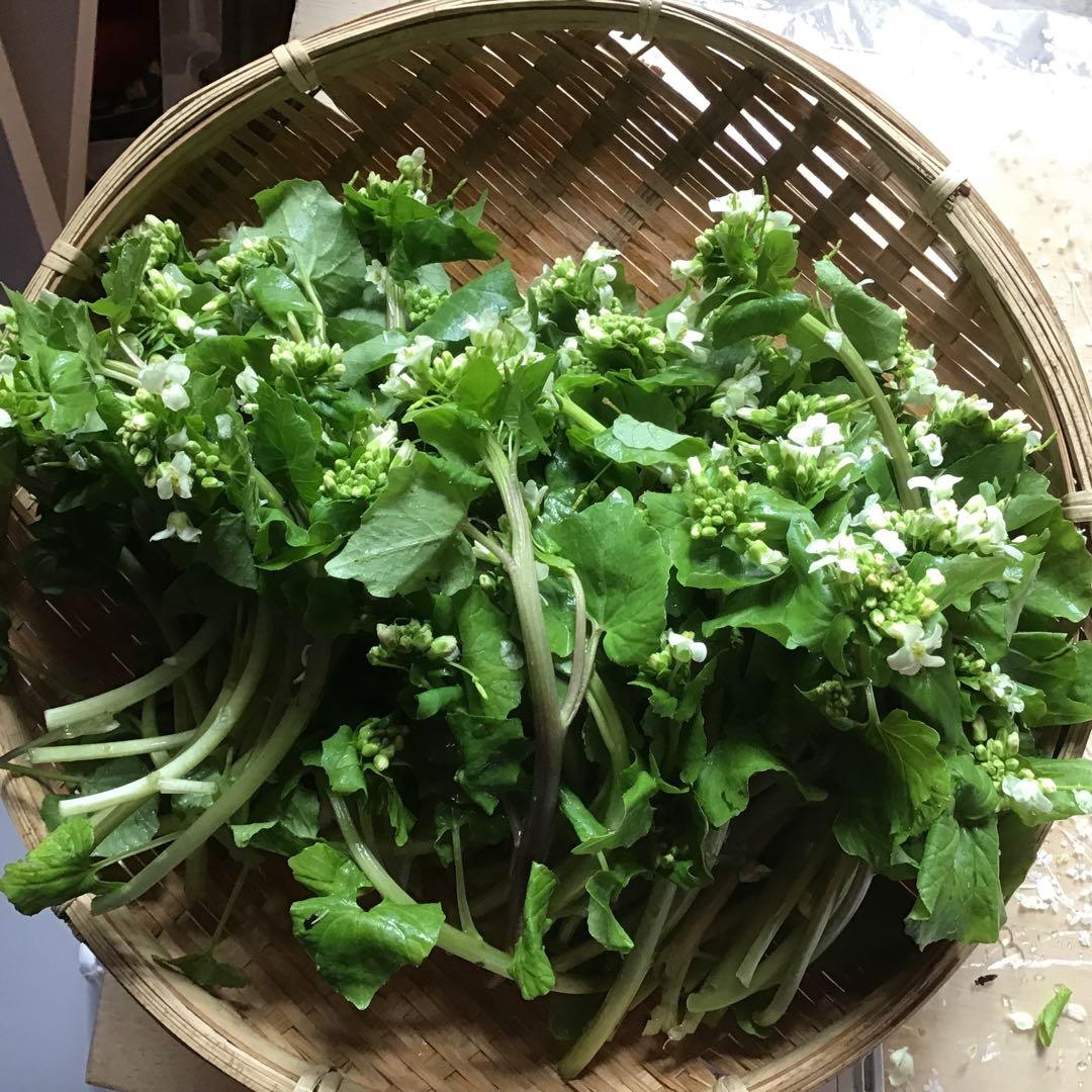 秋田の天然山菜山わさび、花ワサビ　2kg