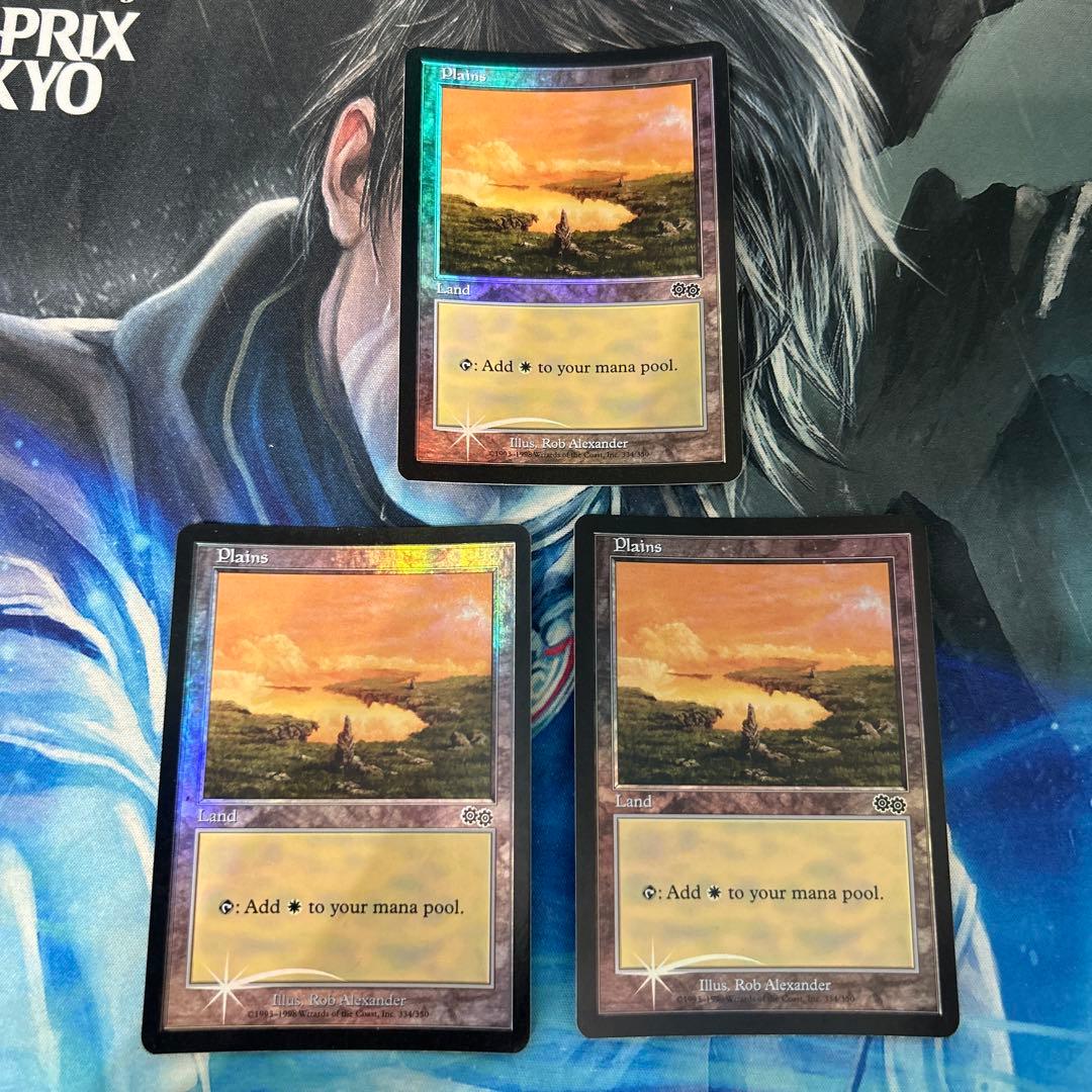 mtg Foil 平地 サーガ アリーナFoilランド 英語 en USG 3枚