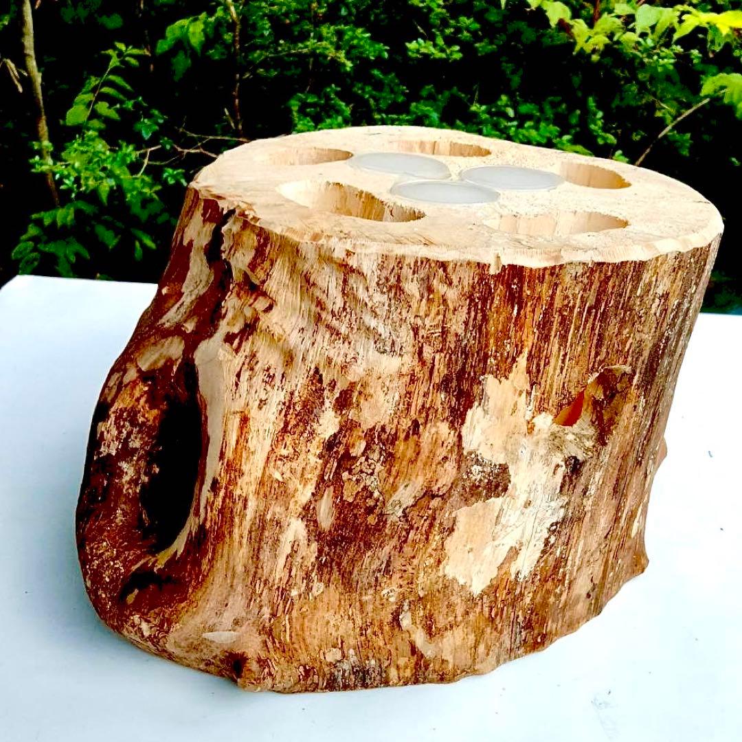 特大隠れ家　天然樹洞　登り木　クワリウム　クワガタ　止まり木　シェルター　エサ皿