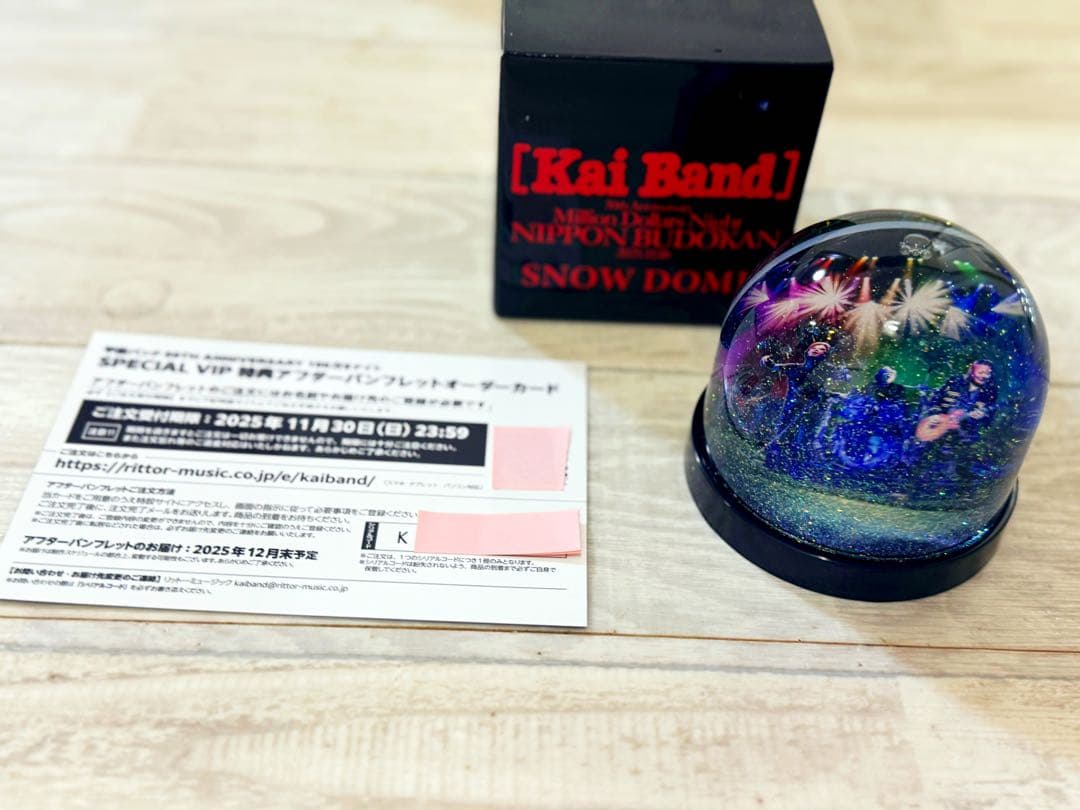 甲斐バンド武道館ライブスペシャルVIP特典パンフレットオーダーカードスノードーム