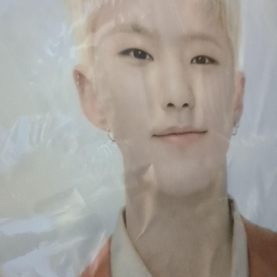 ホシ うちわ 12本 まとめ売り