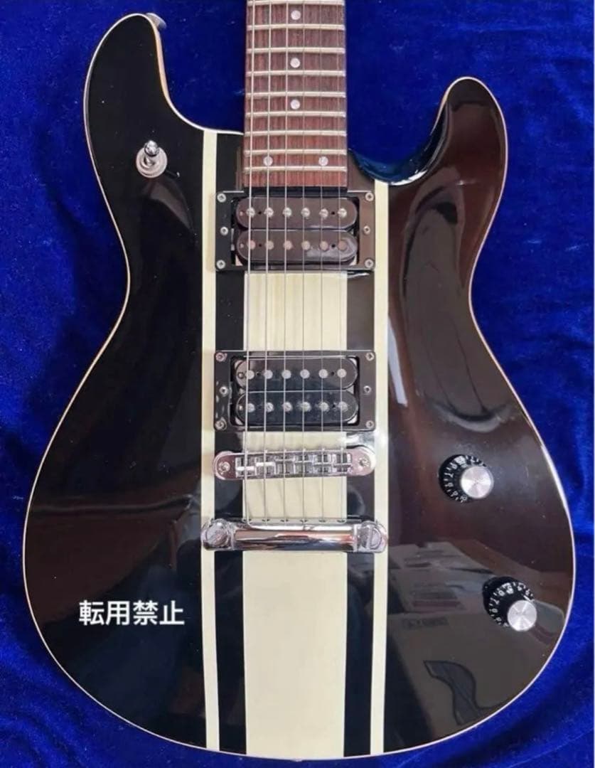 【Fernandes】エレキギター APG series 限定品