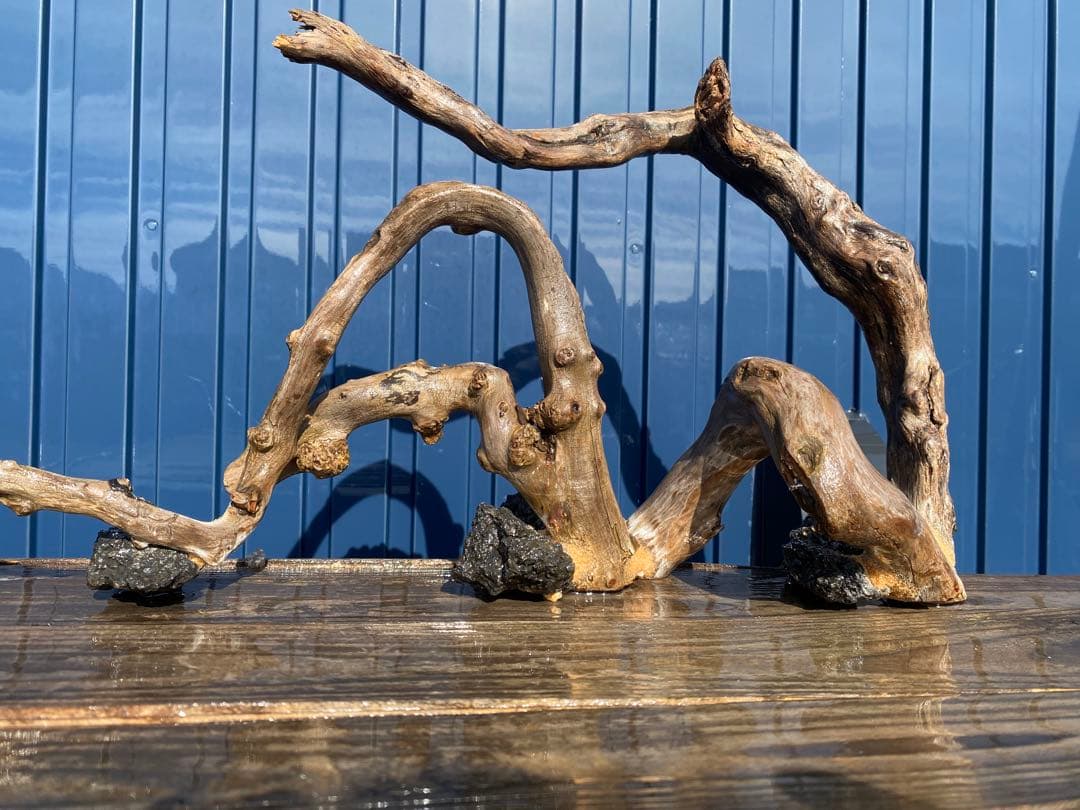 流木レイアウト A863