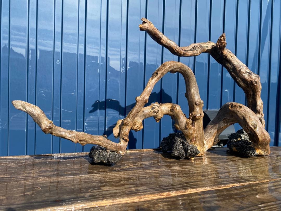 流木レイアウト A863