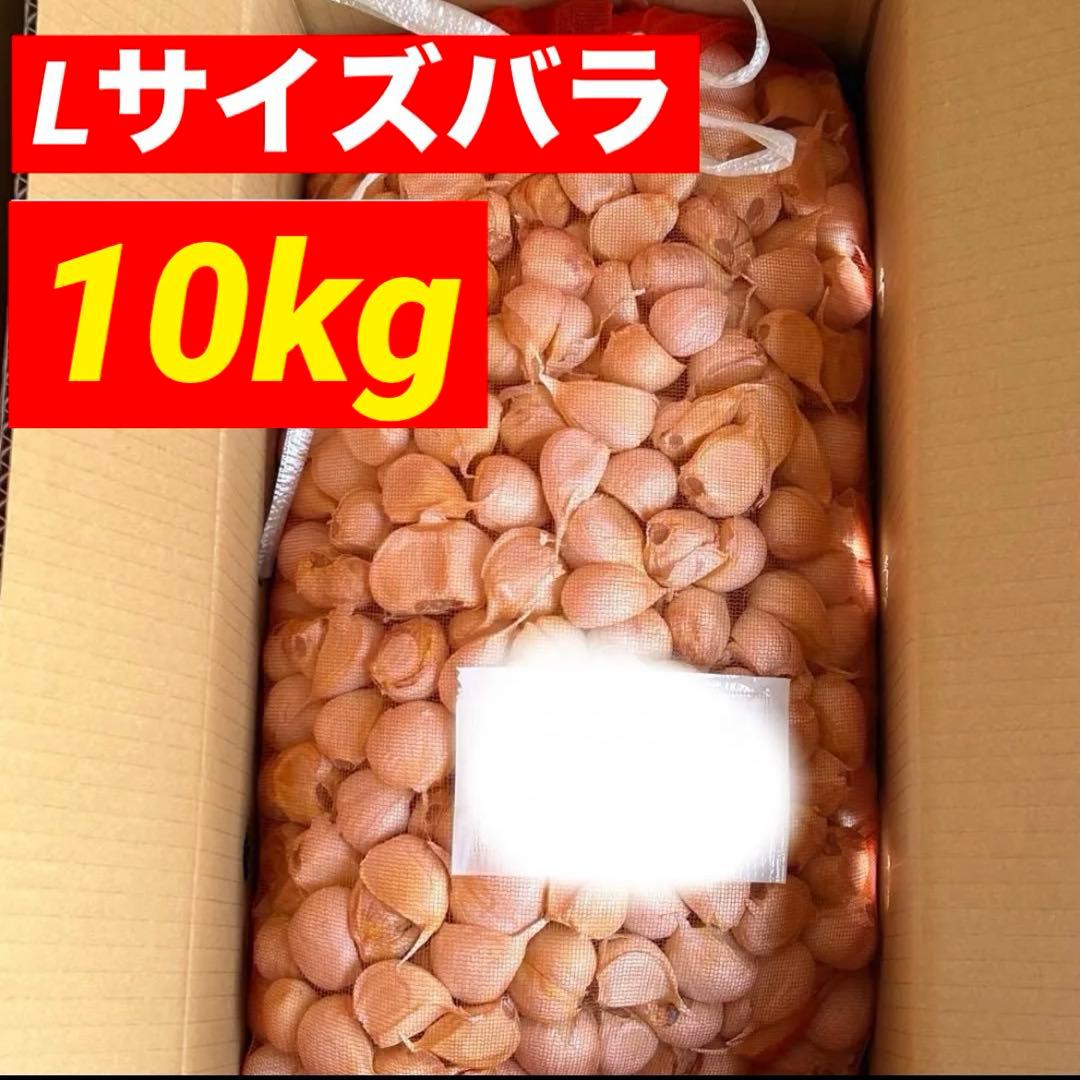 【数量限定】青森県産 にんにく Lバラ10kg 福地ホワイト