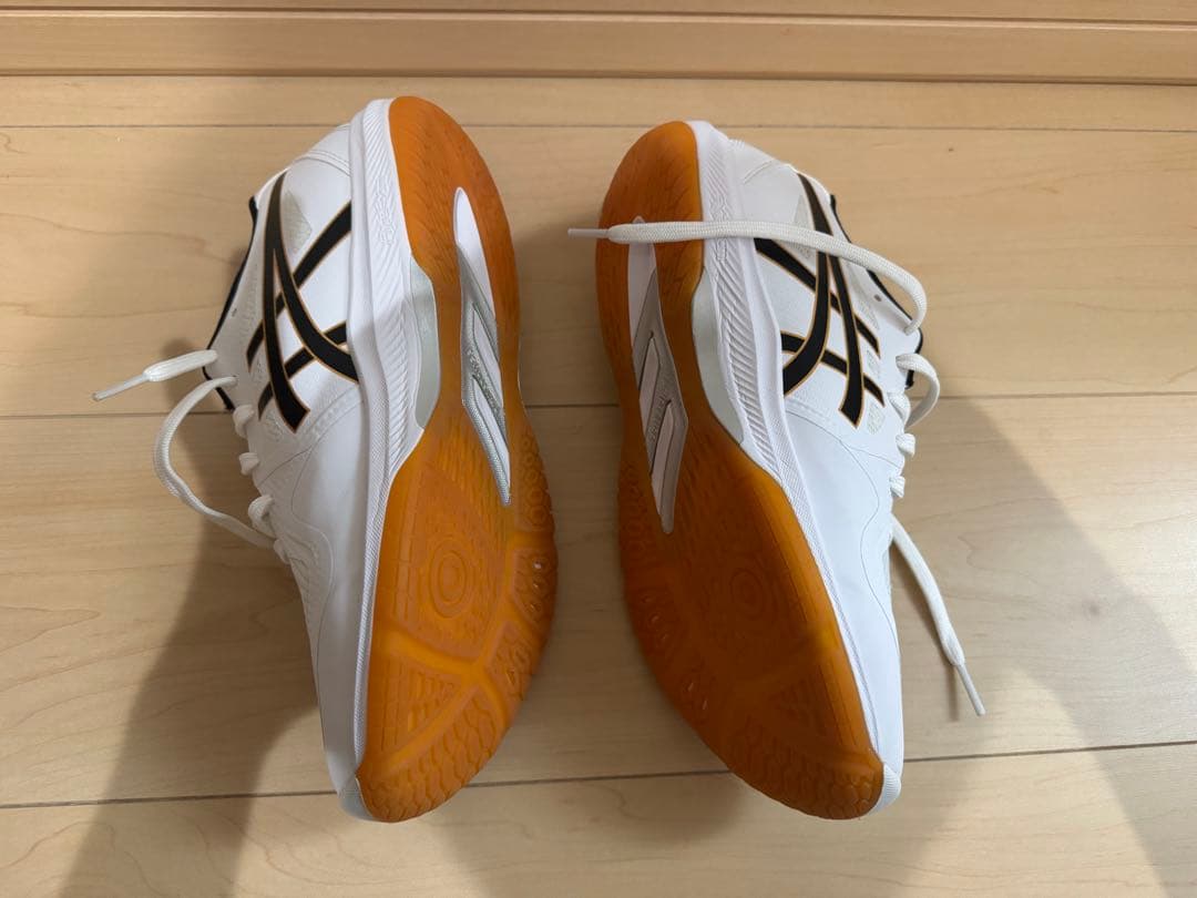 ROTE JAPAN LYTE FF 3 25センチ