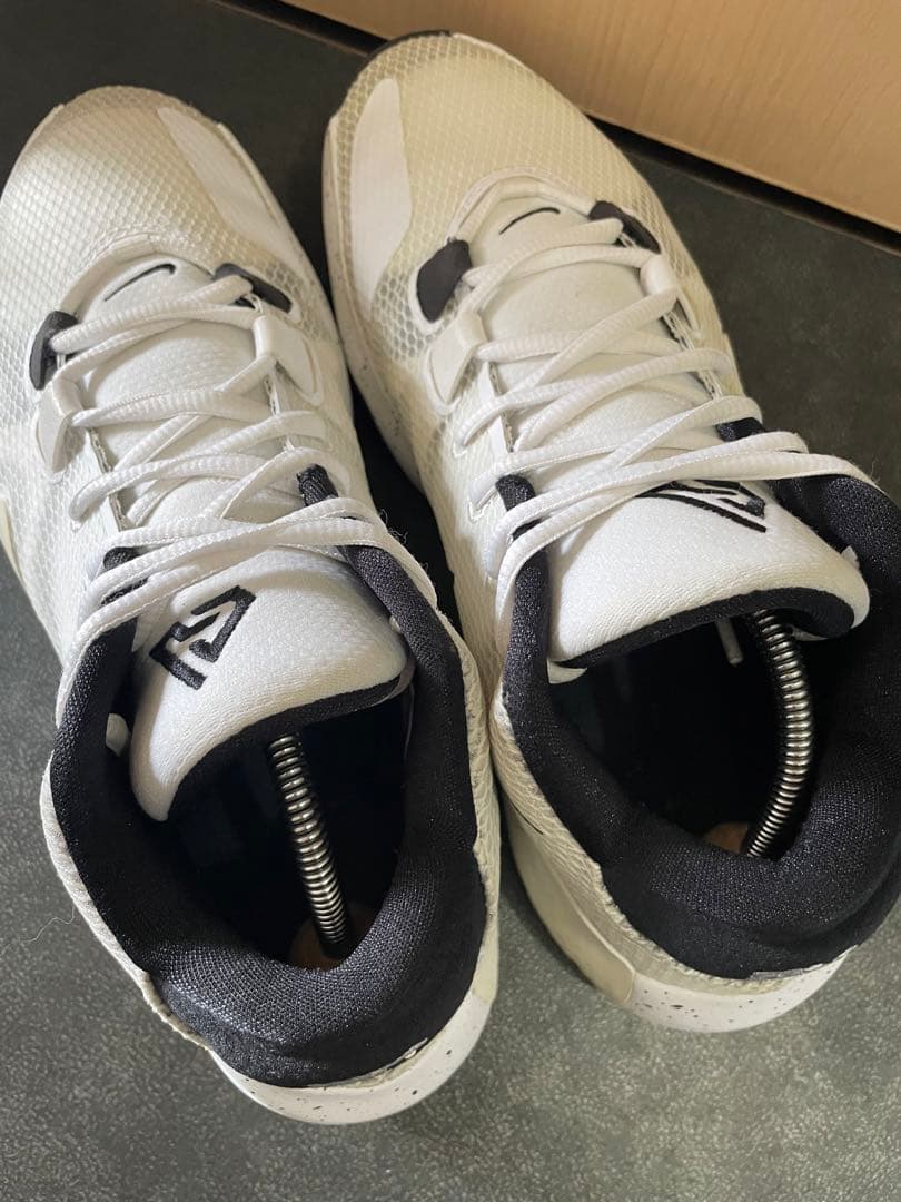 シューズ(男性用) NIKE zoom freak1