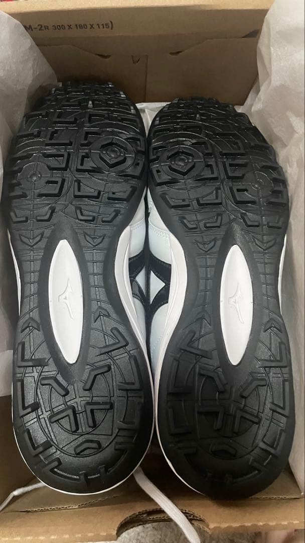 新品未使用モレリアホワイトトレーニングシューズ25cm廃盤モデルカンガルー