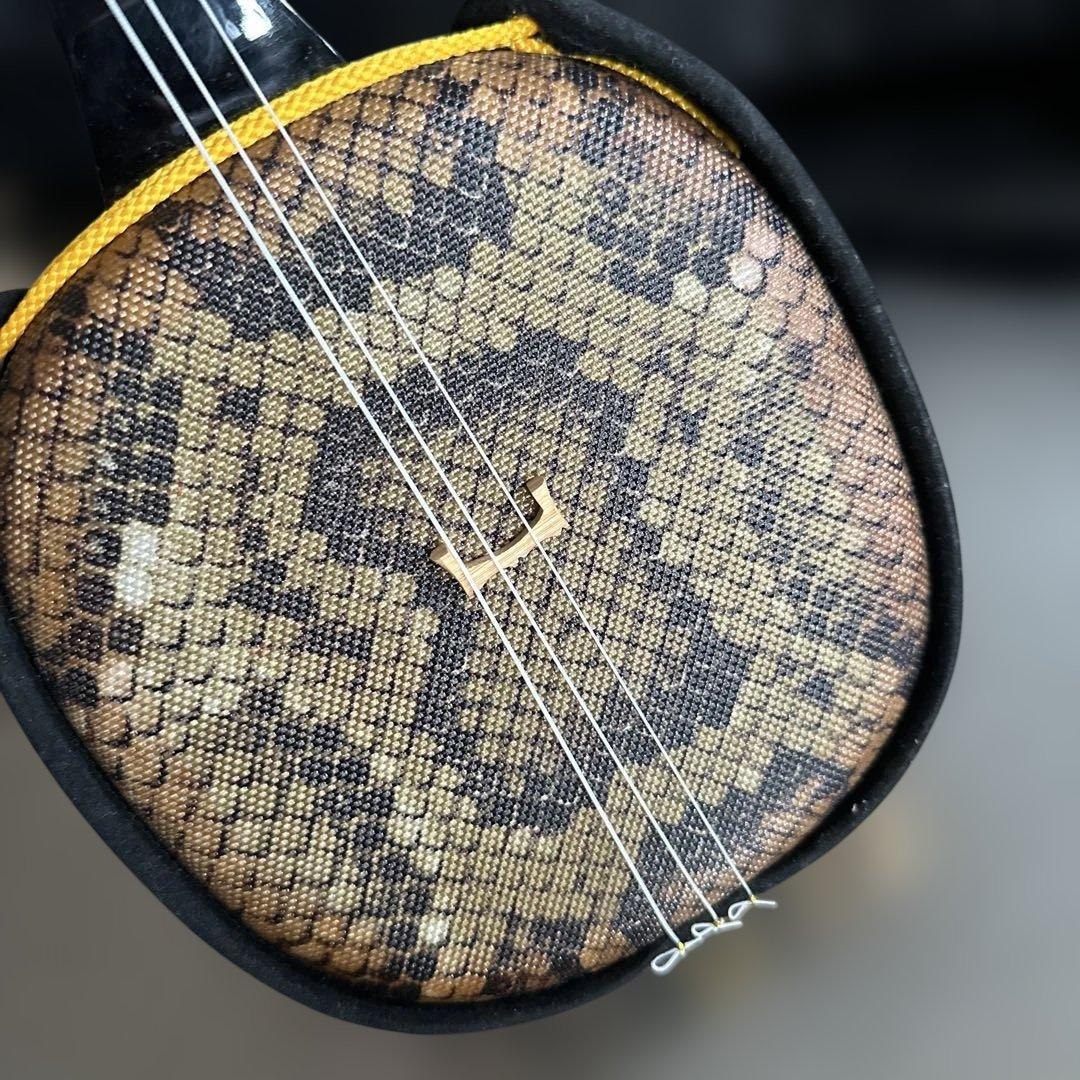 大幅お値下げ❣️三線本体 ケース付き