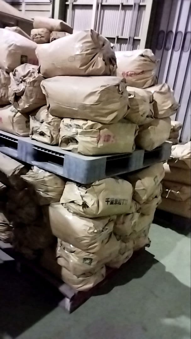 【色選４回、リピーター続出】静岡県産 餅米「まんげつもち」白米 10kg