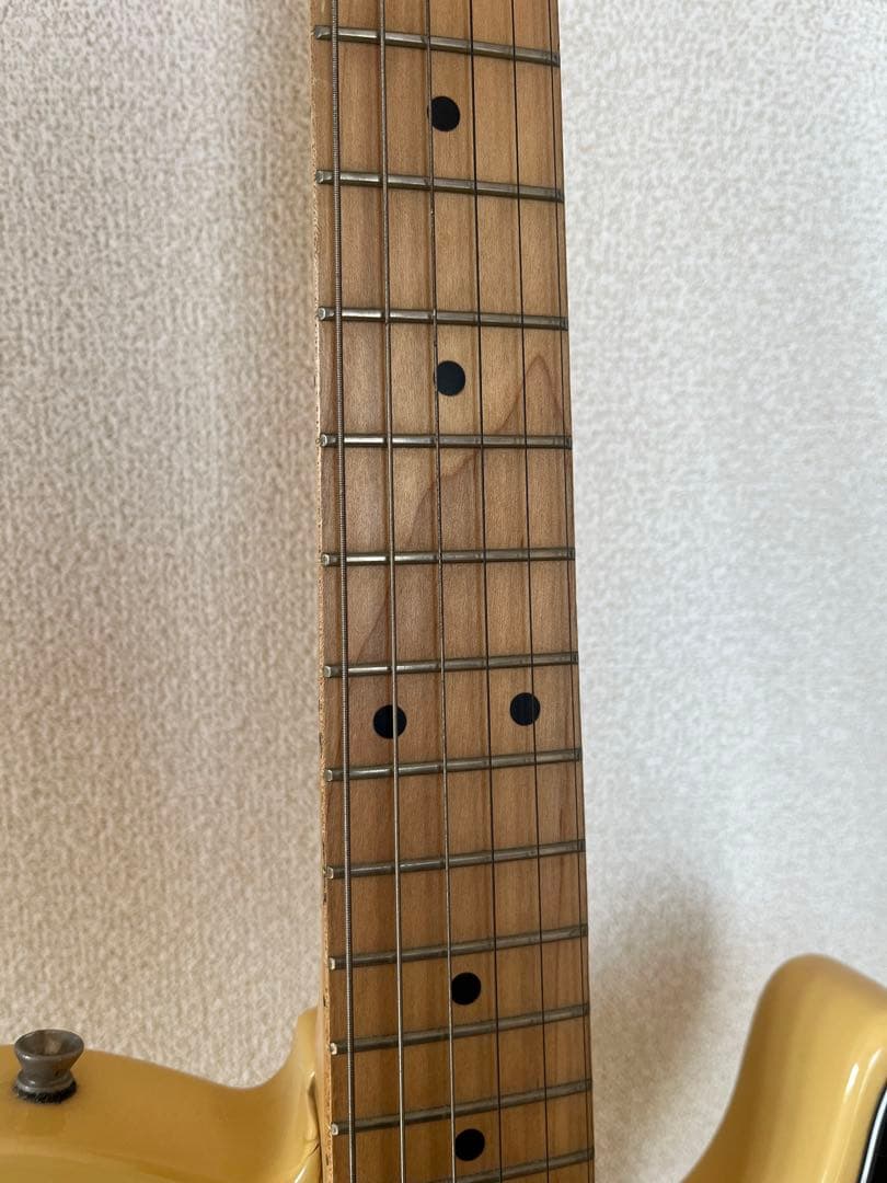 Bacchus Telecasterスタイル エレキギター♪