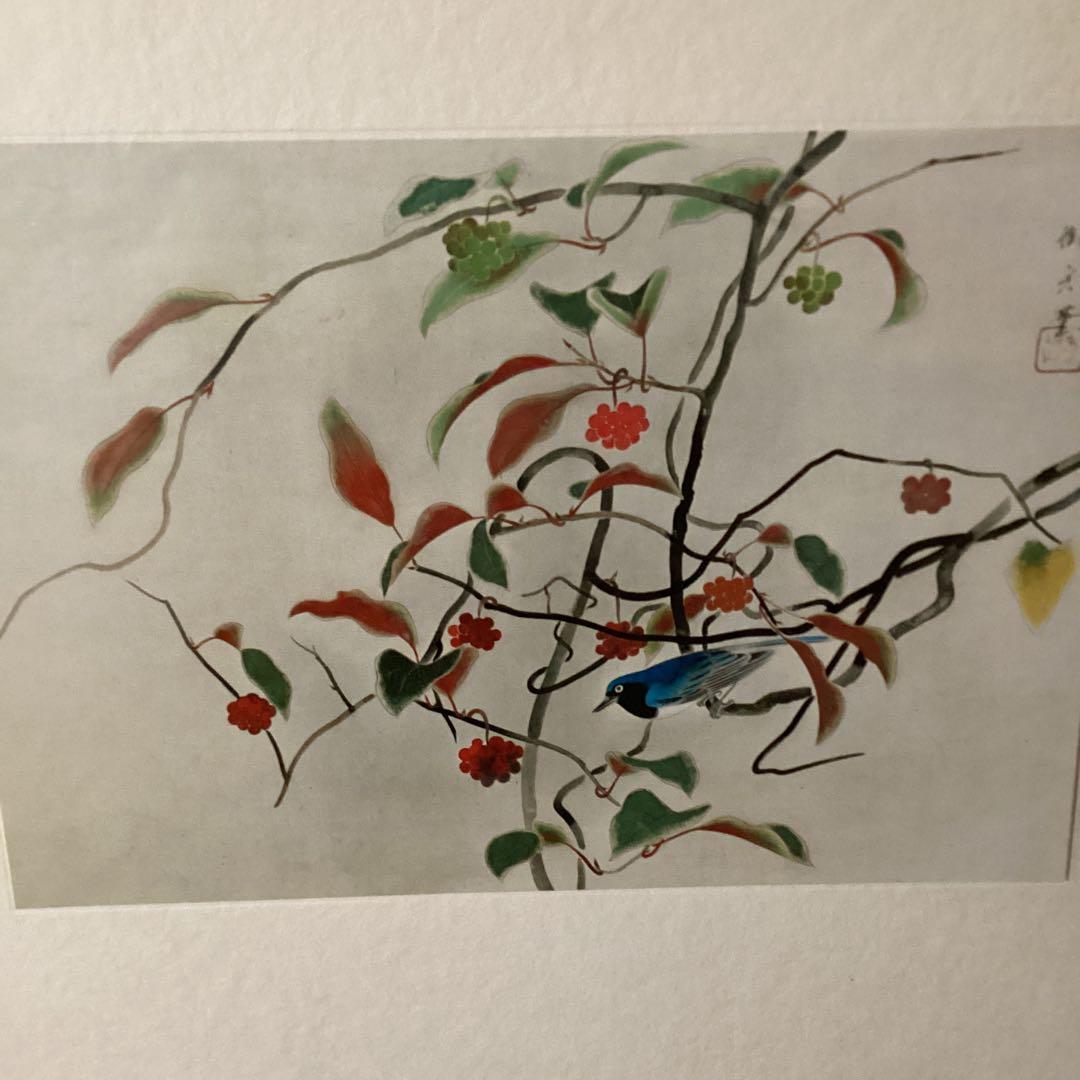 天才画家　速水御舟　作品集大作編　便利堂監修　画集　【美男桂に瑠璃鳥】NO 42