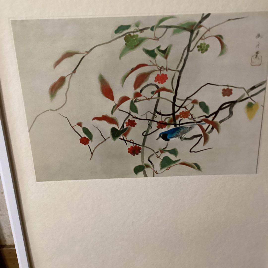 天才画家　速水御舟　作品集大作編　便利堂監修　画集　【美男桂に瑠璃鳥】NO 42