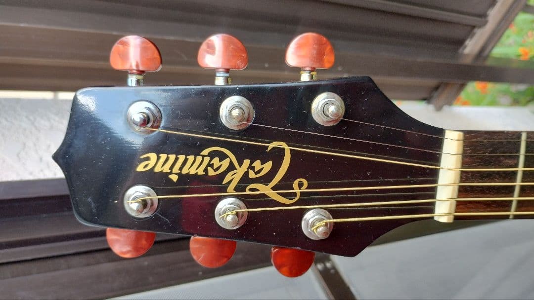 超美品 Takamine 100シリーズ(？)TS 型番不明 PA付きエレアコ