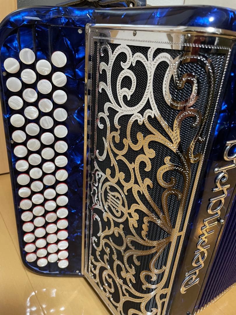 ヒ*ム様 ⭐︎超美品⭐︎Piermaria ボタン式アコーディオン ハードケース