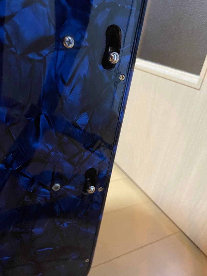 ヒ*ム様 ⭐︎超美品⭐︎Piermaria ボタン式アコーディオン ハードケース