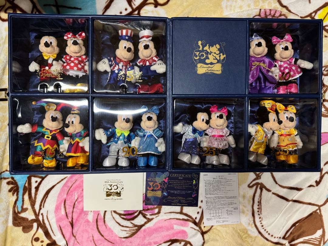 東京ディズニーリゾート30周年限定 ぬいばセット　ミッキー　ミニー　希少　レア