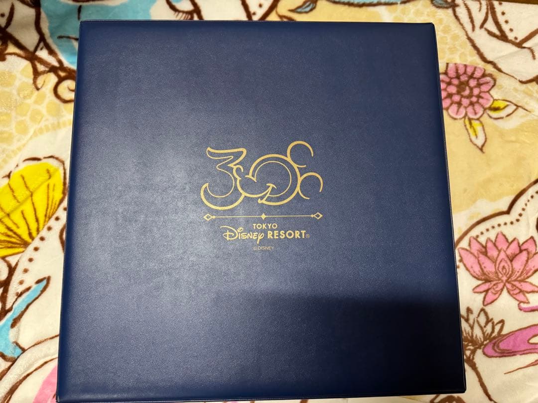 東京ディズニーリゾート30周年限定 ぬいばセット　ミッキー　ミニー　希少　レア