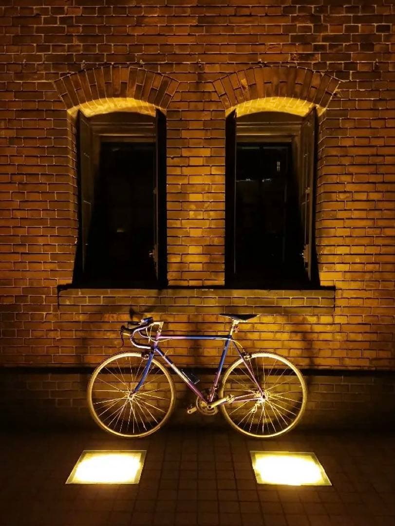 panasonic order ロードバイク roadbike クロモリ ブルー