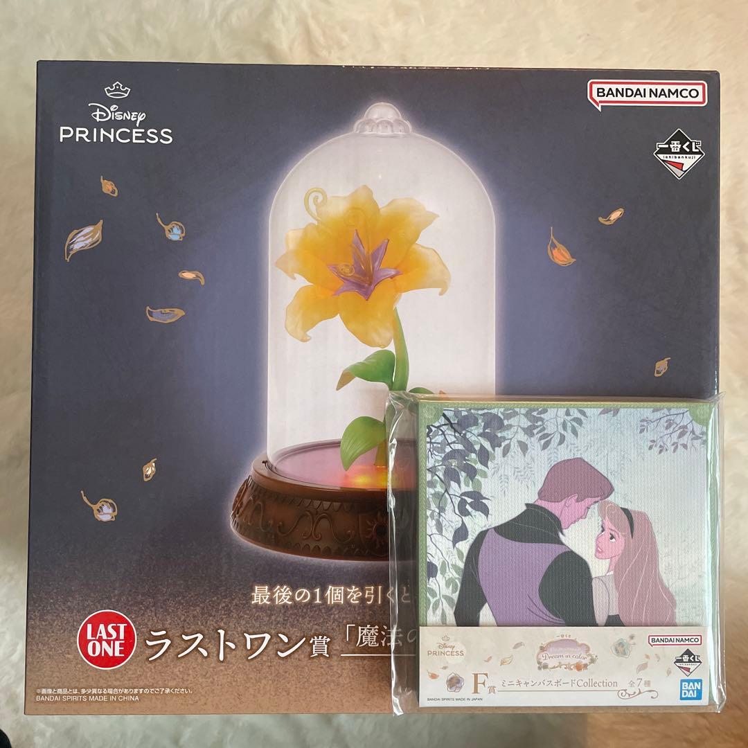 ディズニープリンセス 魔法の花ライトとミニキャンバスボード セット