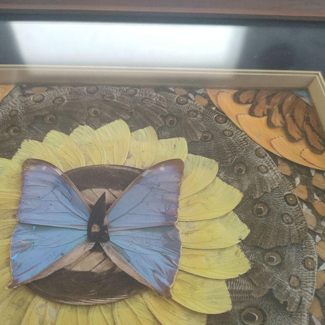 蝶 モチーフ 額装アート 絵画 立体作品 インテリア