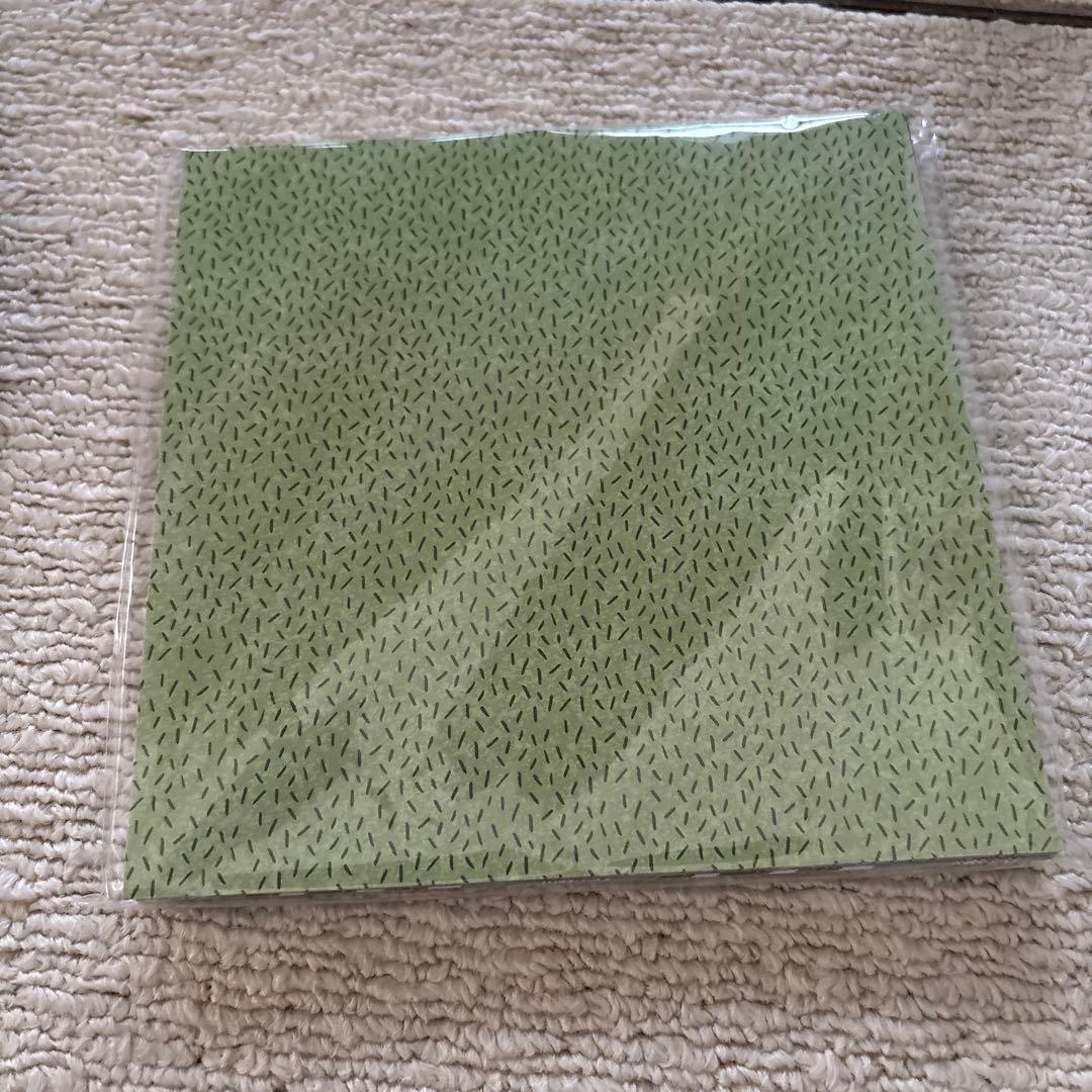 フラワリングカクタス バンドル　スタンピンアップ