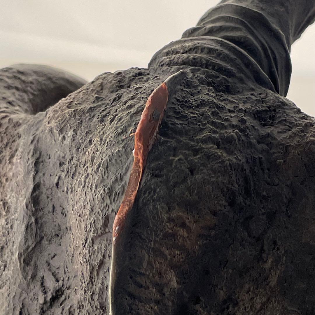 ラドン　フィギュア