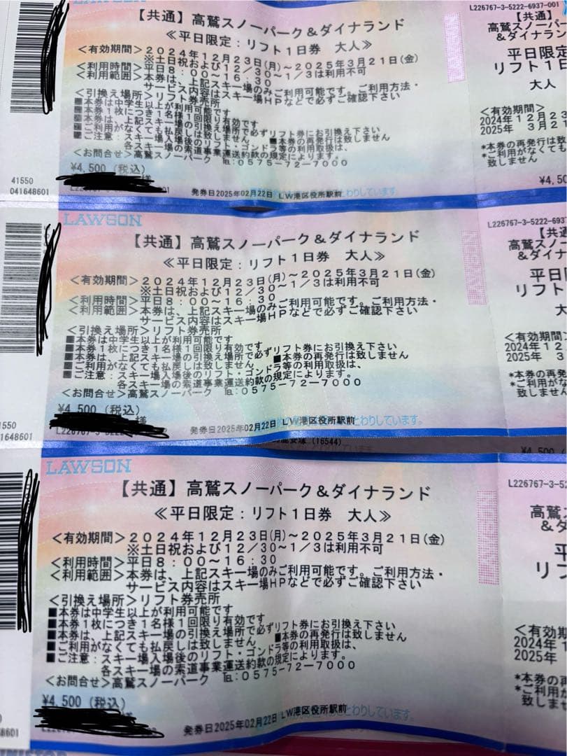 高鷲スノーパーク&ダイナランド(平日限定)リフト券