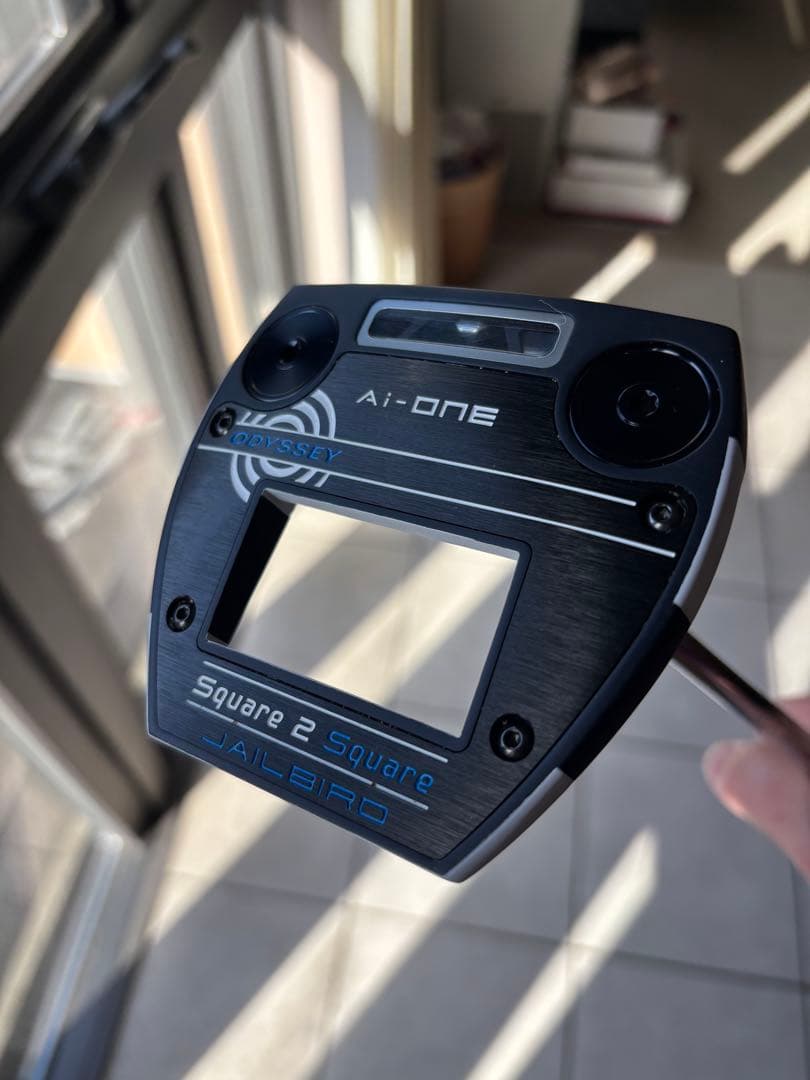 オデッセイ　Ai-ONE Squaqe 2 Square ジェイルバード　33