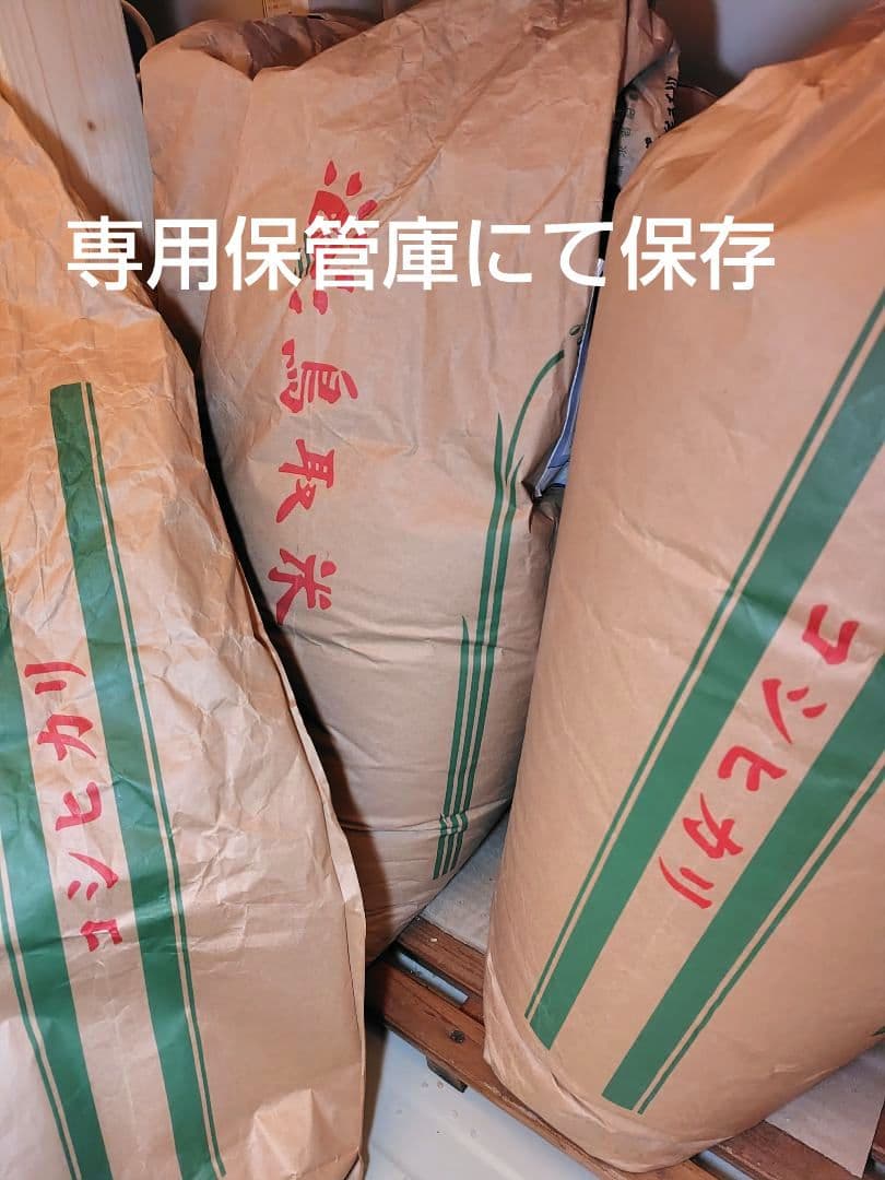 鳥取県産　コシヒカリ　玄米　減農薬　10kg