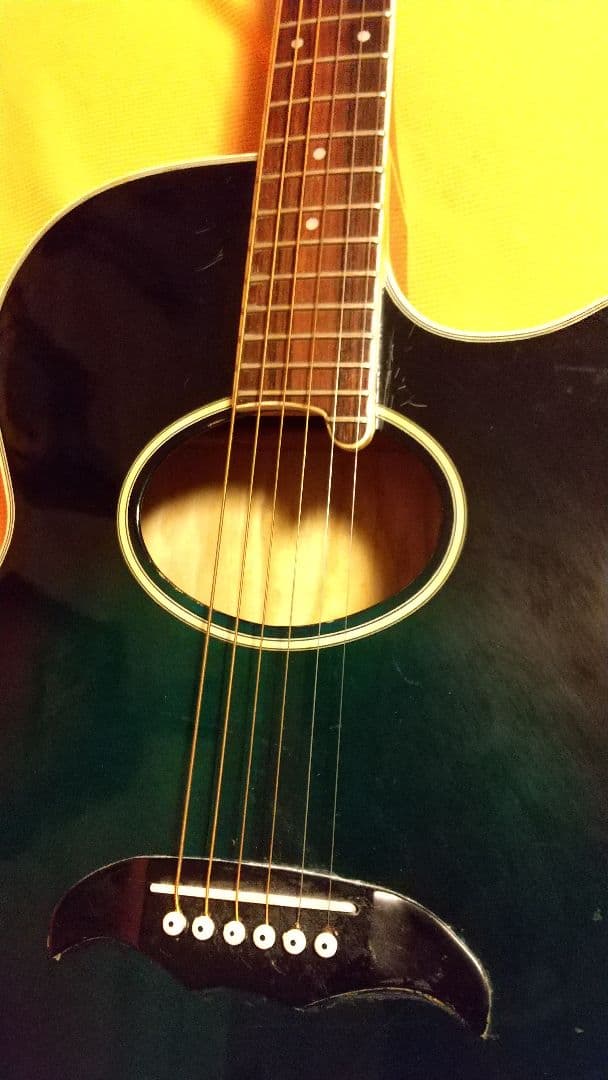 HEAD WAY エレアコギター 　レアオーバルホール　ネック細目