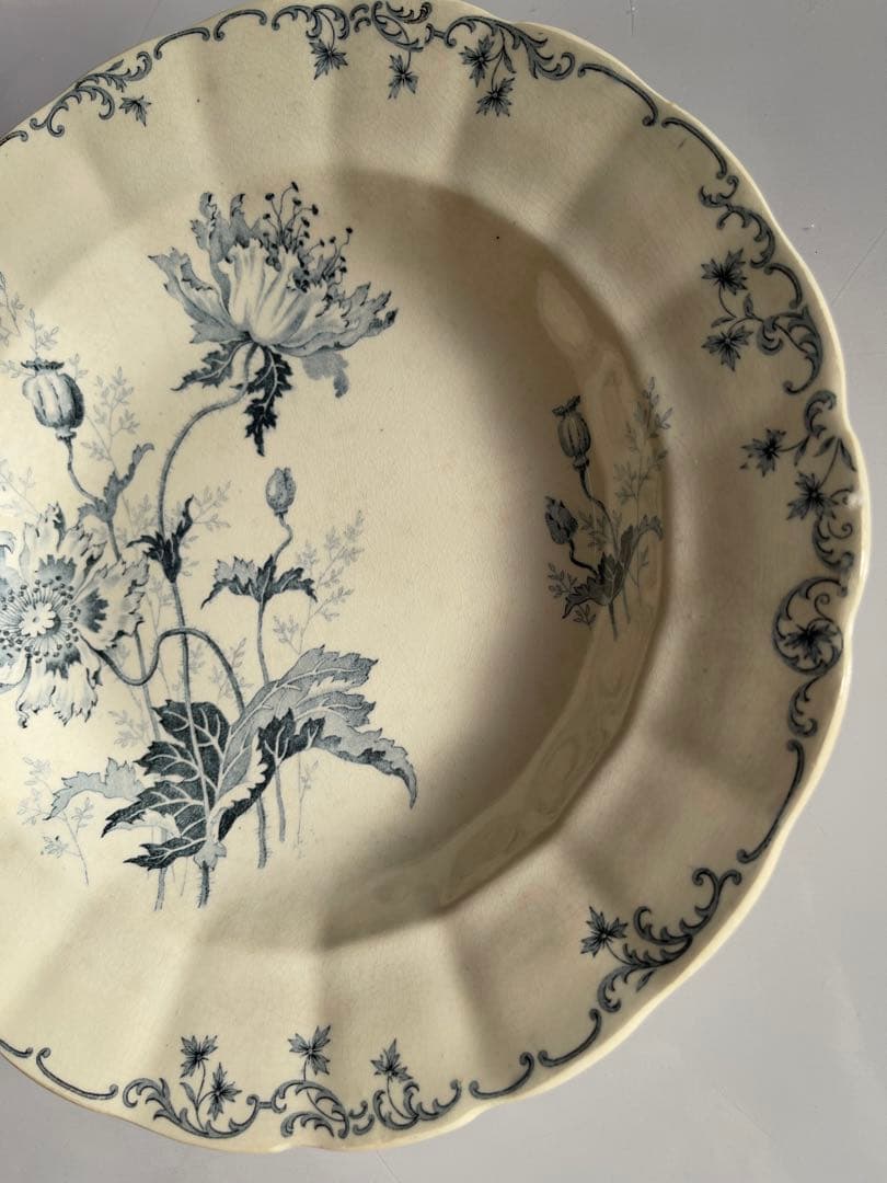 ジョワジールロワ　深皿2枚セット