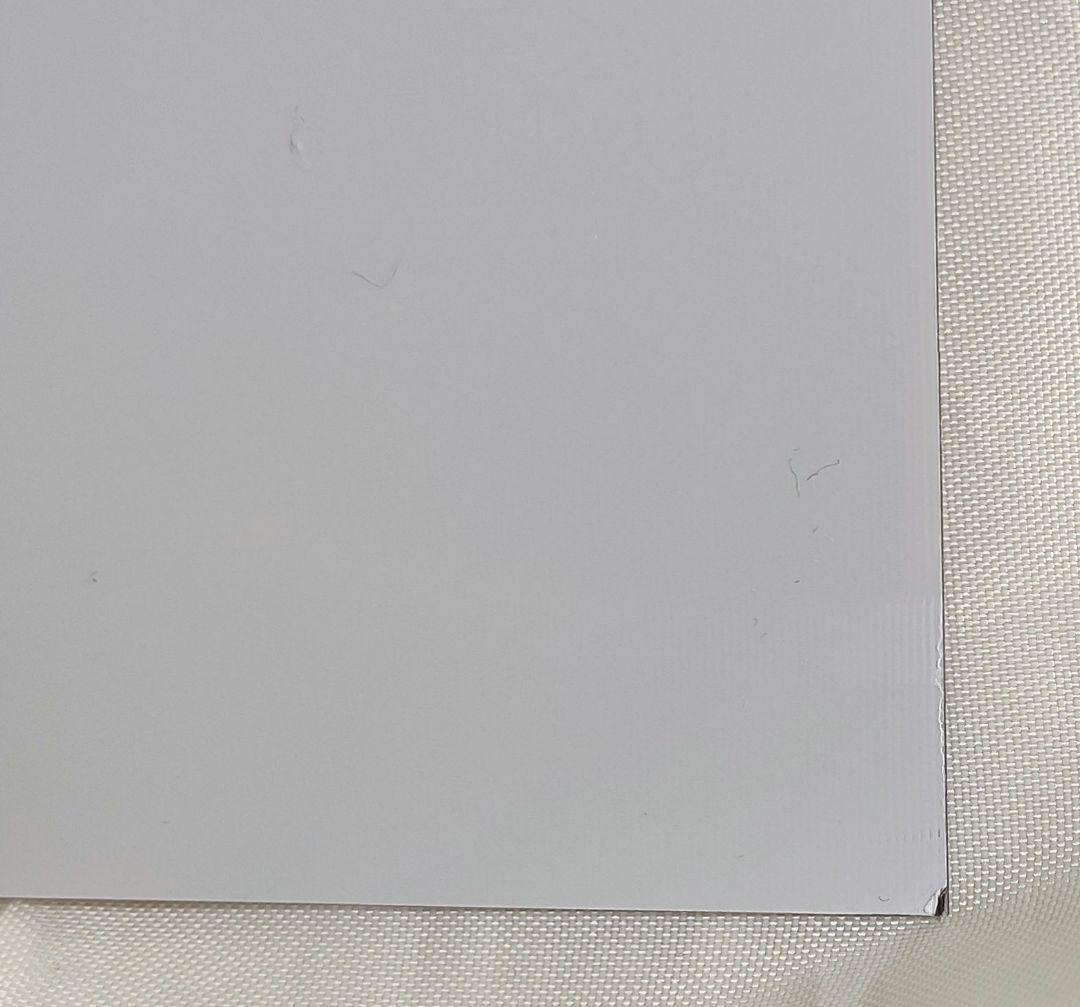 ヘルヴァボス　ストラス　レンチキュラーポスター　2枚セット