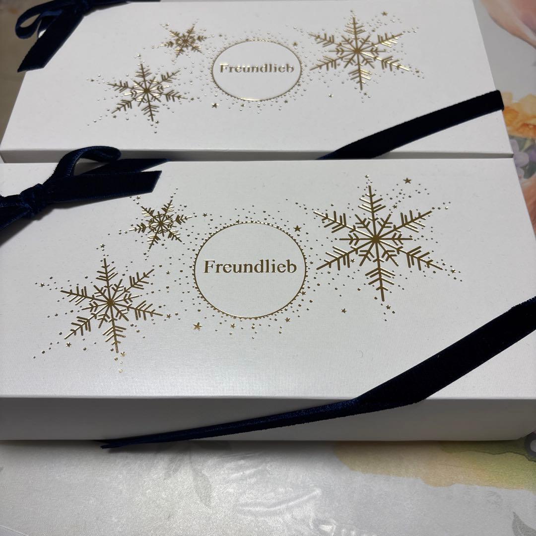 フロインドリーブ　シトーレン500g 2箱