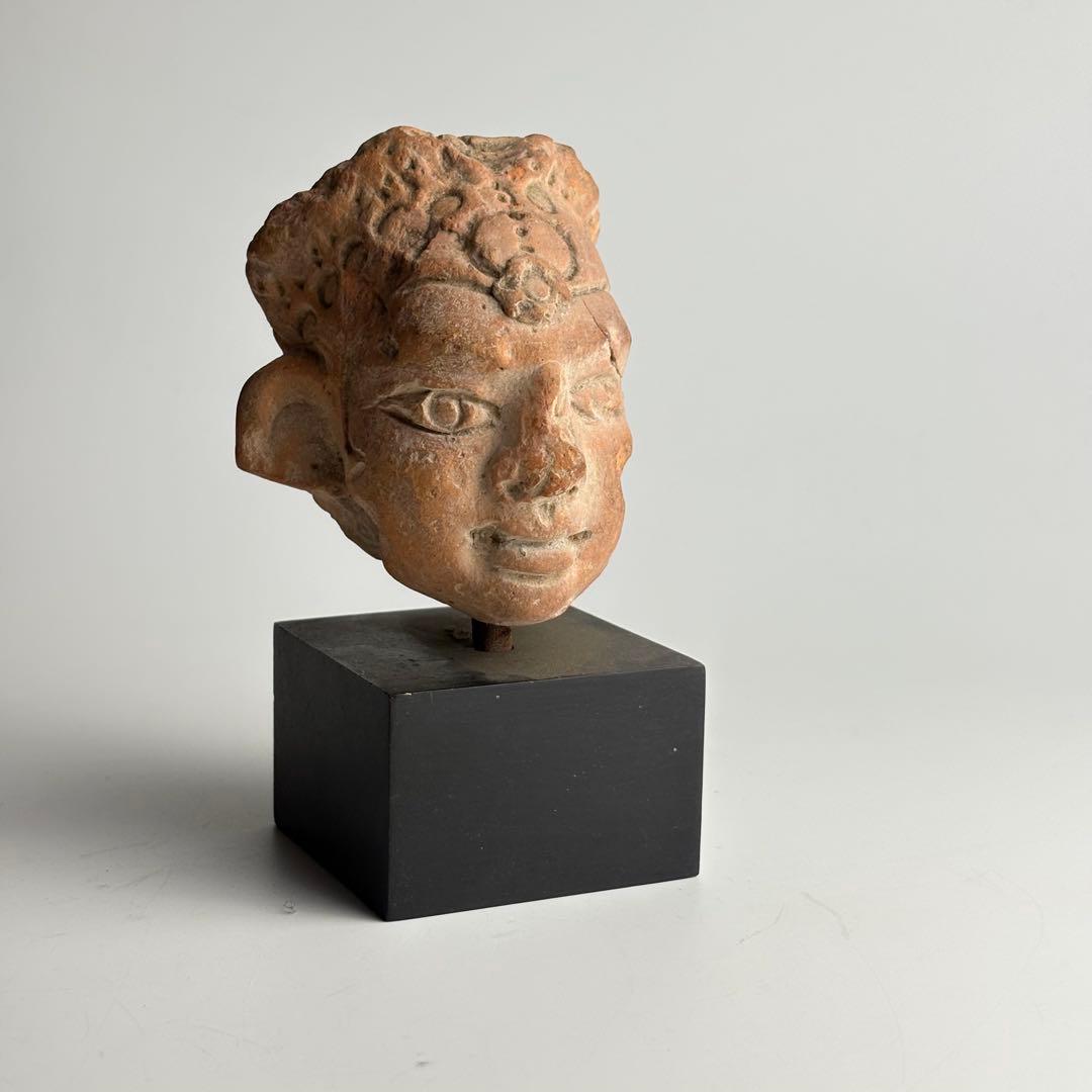 テラコッタ ラピタ 仏頭 ガンダーラ 仏教美術