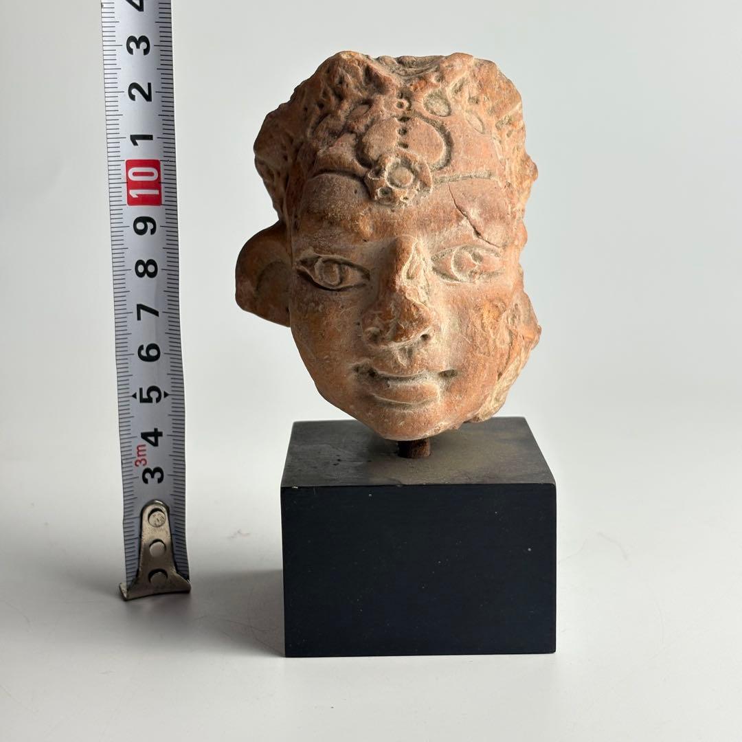 テラコッタ ラピタ 仏頭 ガンダーラ 仏教美術