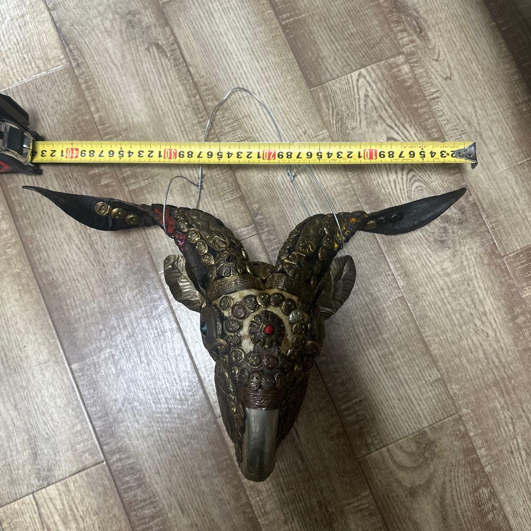 チベタンスカル　山羊　モンクスカル　チベット　法具　チベタンゴート　頭蓋骨