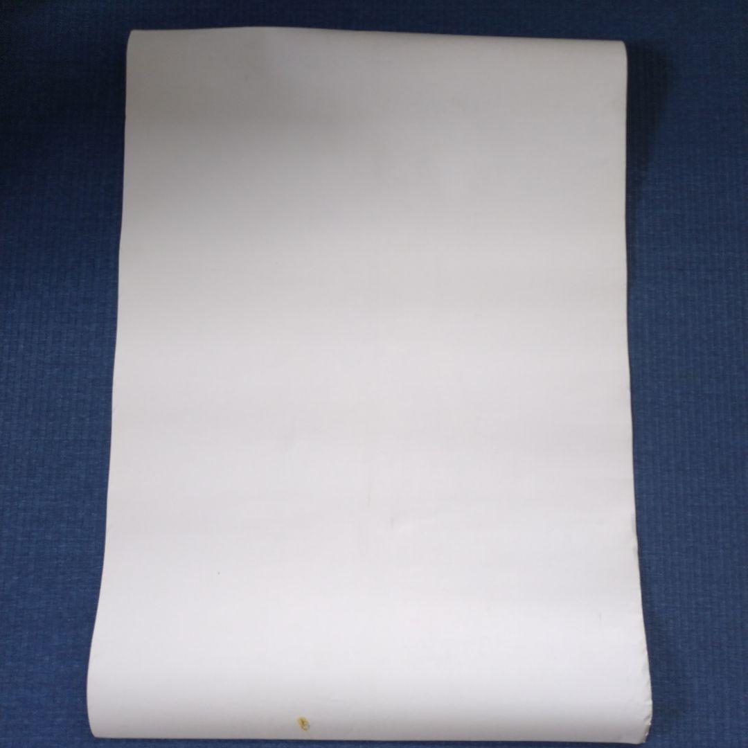 難アリ※ドラゴンボールZ(DRAGONBALL)非売品ポスター